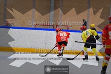 ref. photo 3986611