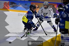 ref. photo 3987009