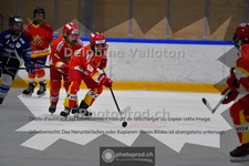 ref. photo 3987013