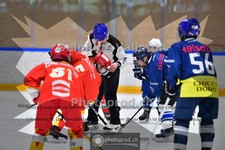 ref. photo 3987016