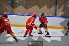 ref. photo 3987020
