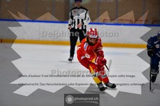 ref. photo 3987023