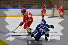 ref. photo 3987025