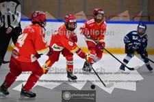 ref. photo 3987032