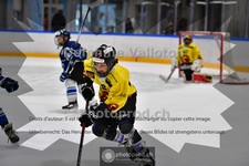 ref. photo 3987102
