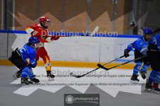 ref. photo 3987240