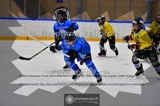 ref. photo 3987318