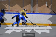 ref. photo 3987323