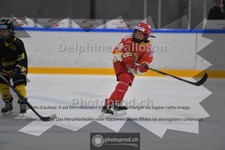 ref. photo 3987414