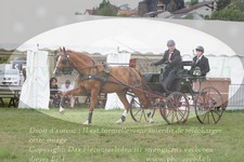 ref. photo 3278081
