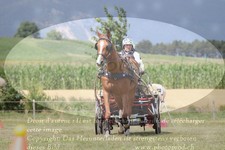 ref. photo 3278102