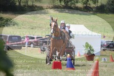 ref. photo 3278112