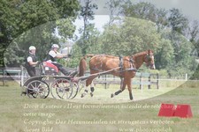 ref. photo 3278118