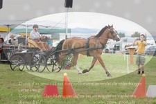 ref. photo 3278124