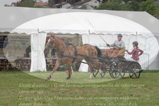 ref. photo 3278149