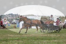 ref. photo 3278150