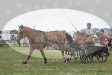 ref. photo 3278151