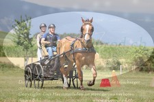 ref. photo 3278153