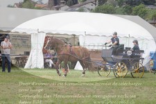 ref. photo 3278199