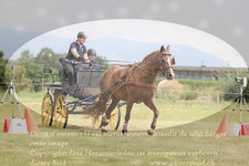 ref. photo 3278205