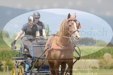 ref. photo 3278218