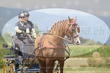 ref. photo 3278219