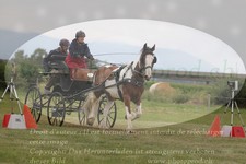 ref. photo 3278230