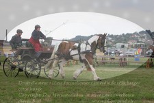 ref. photo 3278232