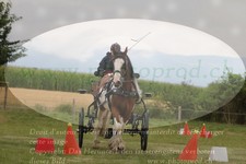 ref. photo 3278233