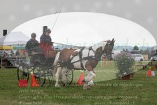 ref. photo 3278239