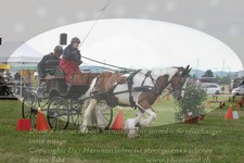ref. photo 3278251