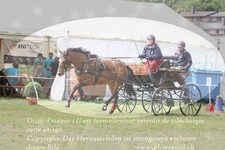 ref. photo 3278276