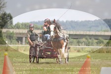 ref. photo 3278290