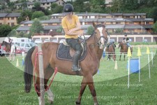 ref. photo 3278386
