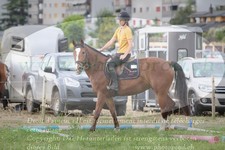 ref. photo 3278392
