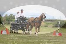 ref. photo 3278451
