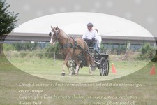 ref. photo 3278462