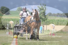 ref. photo 3278465