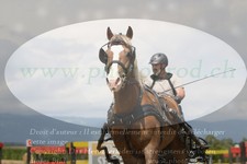 ref. photo 3278471