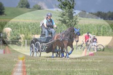 ref. photo 3278492