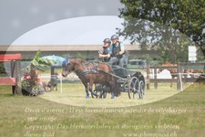 ref. photo 3278502