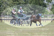 ref. photo 3278505
