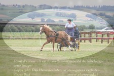 ref. photo 3278536