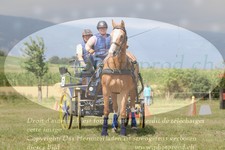 ref. photo 3278548