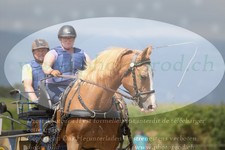 ref. photo 3278549