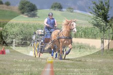 ref. photo 3278550