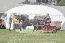 ref. photo 3278585