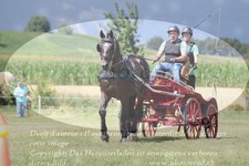 ref. photo 3278600