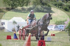 ref. photo 3278610