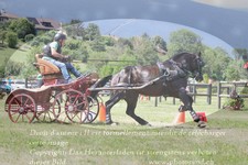 ref. photo 3278611